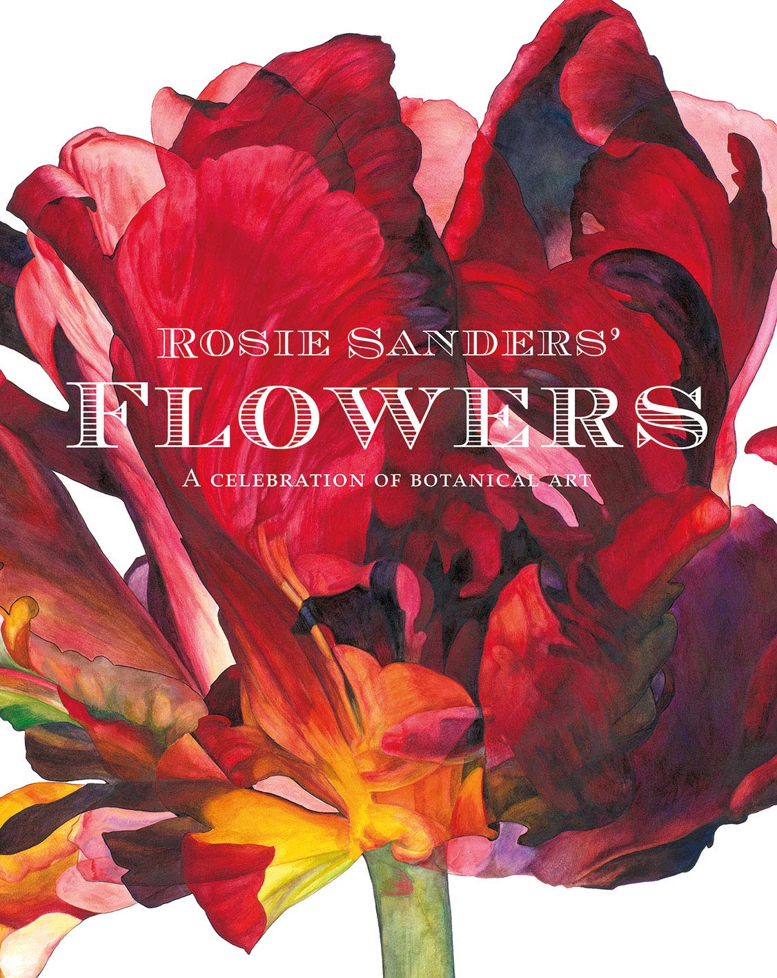 Rosie Sanders Flowers: A Celebration of Botanical Art
