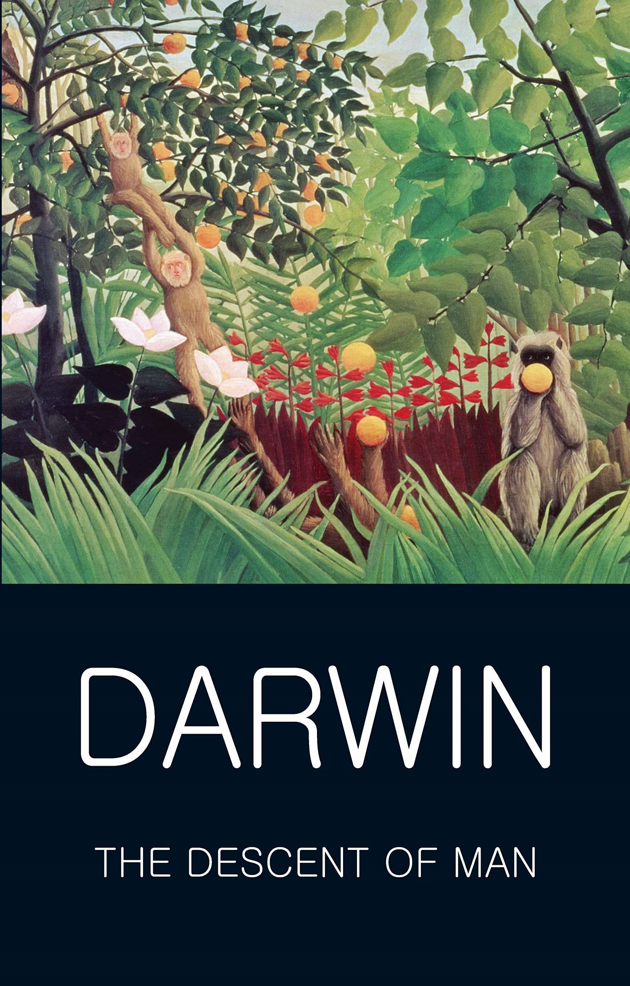 The Descent of Man (Wordsworth Classics of World Literature)