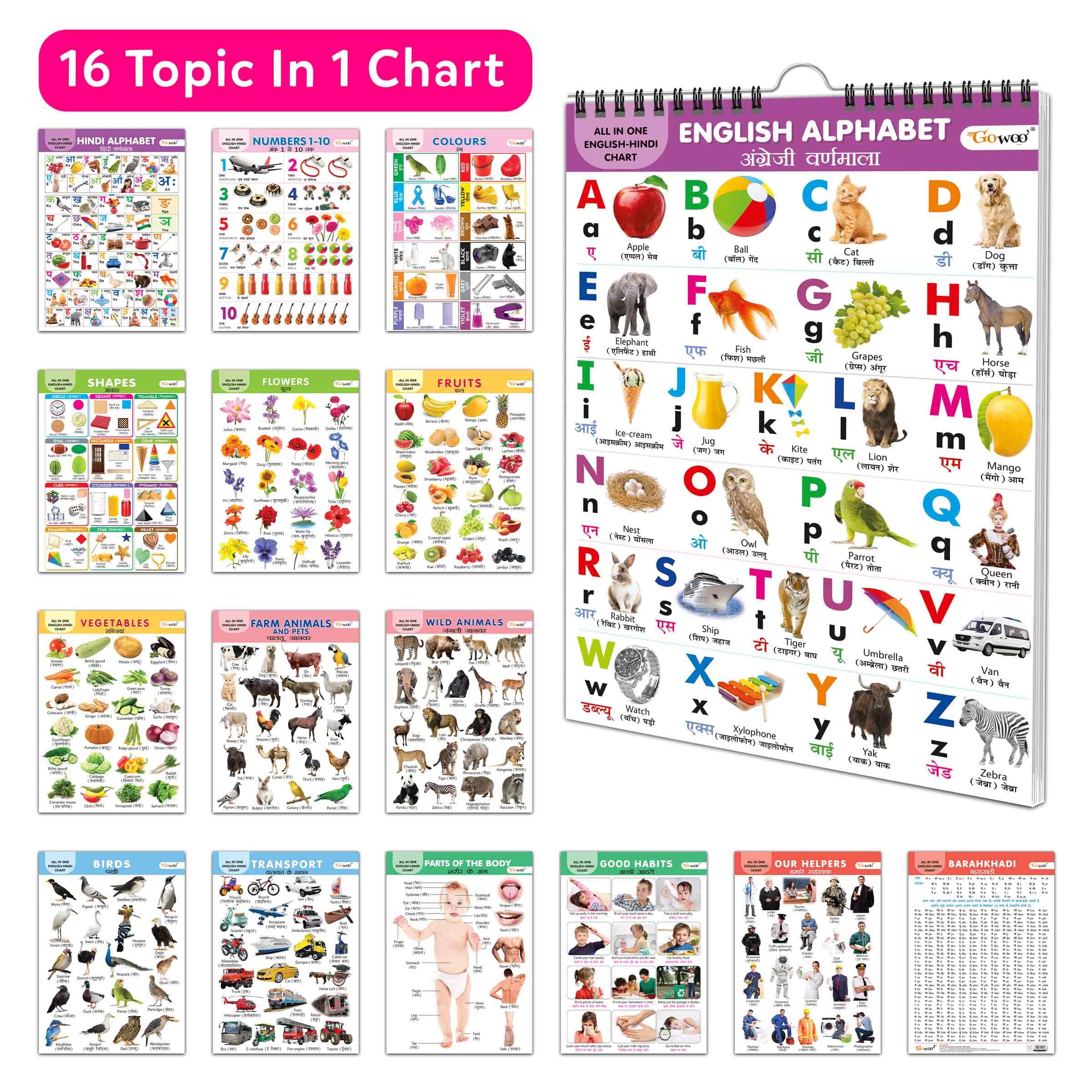 Essential Chart Of All In One : My First ALL IN ONE SPIRAL CHART (ENGLISHHINDI) 7 Educational Chart books for toddlers Collecti