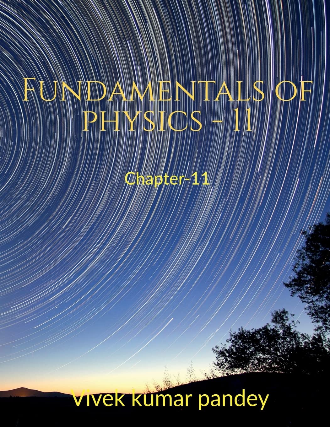 Fundamentals Of Physics  11