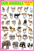 Animals Chart For Kids | 70X100 Cm (Extra Large Size To Attract Kids) | NonTearable And Waterproof | Perfect For Homeschooling,