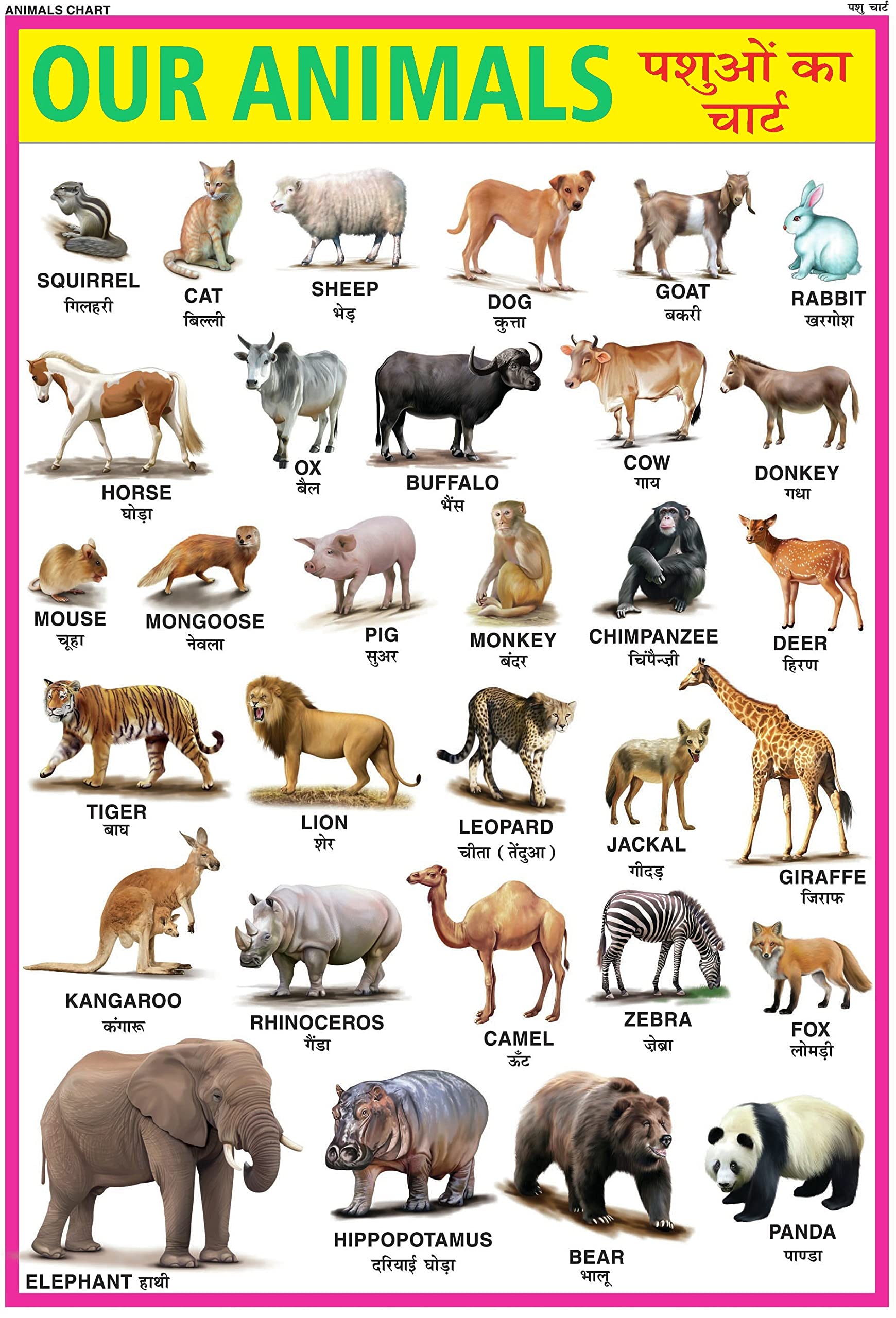 Animals Chart For Kids | 70X100 Cm (Extra Large Size To Attract Kids) | NonTearable And Waterproof | Perfect For Homeschooling,