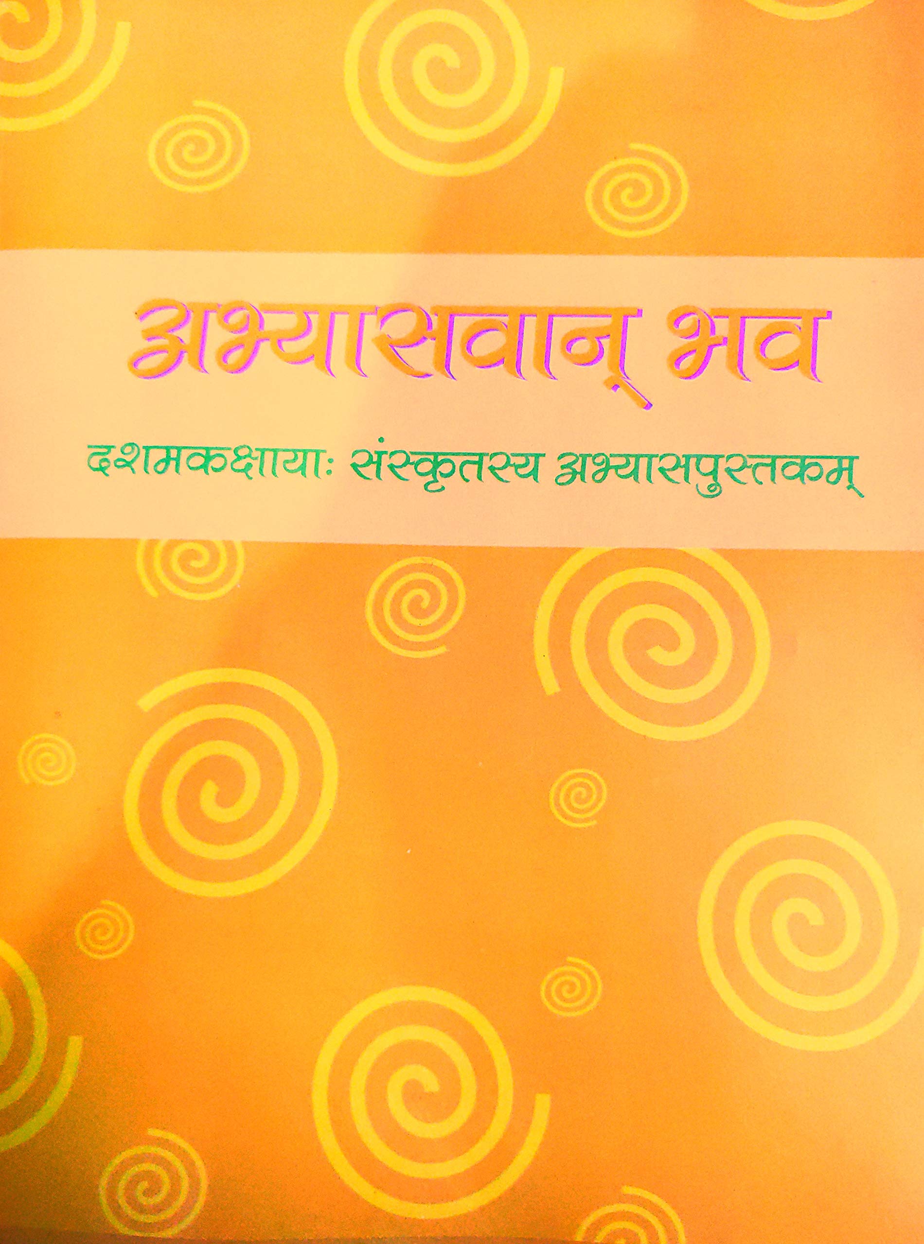 Practitioner Class 10  Abhyasvaan Bhav Sanskrit Workbook Class 10  Ncert 2019  Hindi
