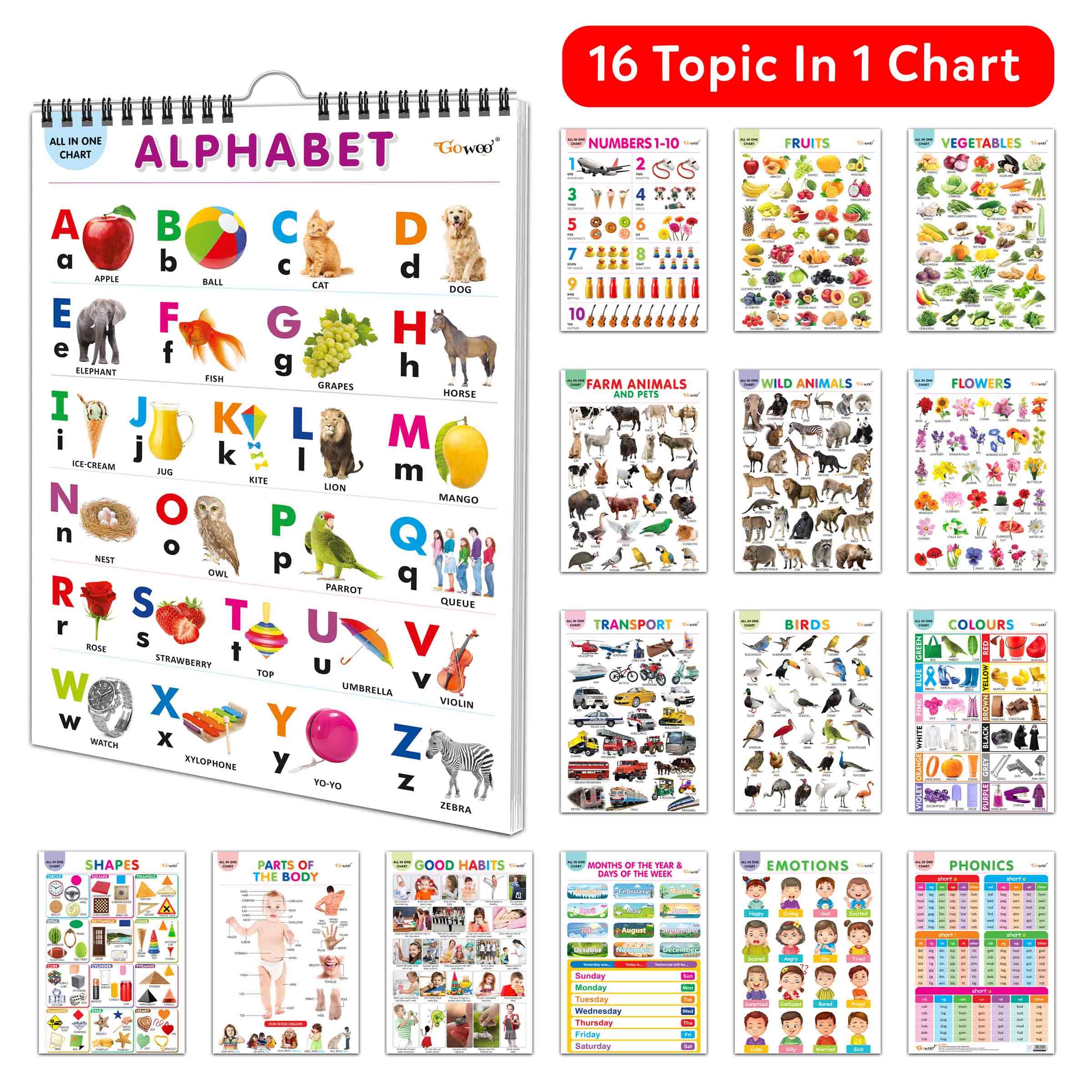 My First ALL IN ONE SPIRAL CHART : Learning Chart book for kids, Educational Chart for toddlers, Collection With 16 Topics, birt
