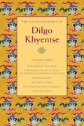 The Collected Works of Dilgo Khyentse, Volume Three: Zurchungpas Testament; A Wondrous Ocean of Advice for the Practice of Ret