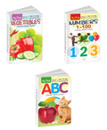 My First Big Picture Board Book ABC, Numbers 1100 and Vegetables : Early childhood educational books, Preschool learning books,