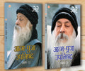Aatam Pooja Upnishad 12 (   12) (Set of 2 Books)