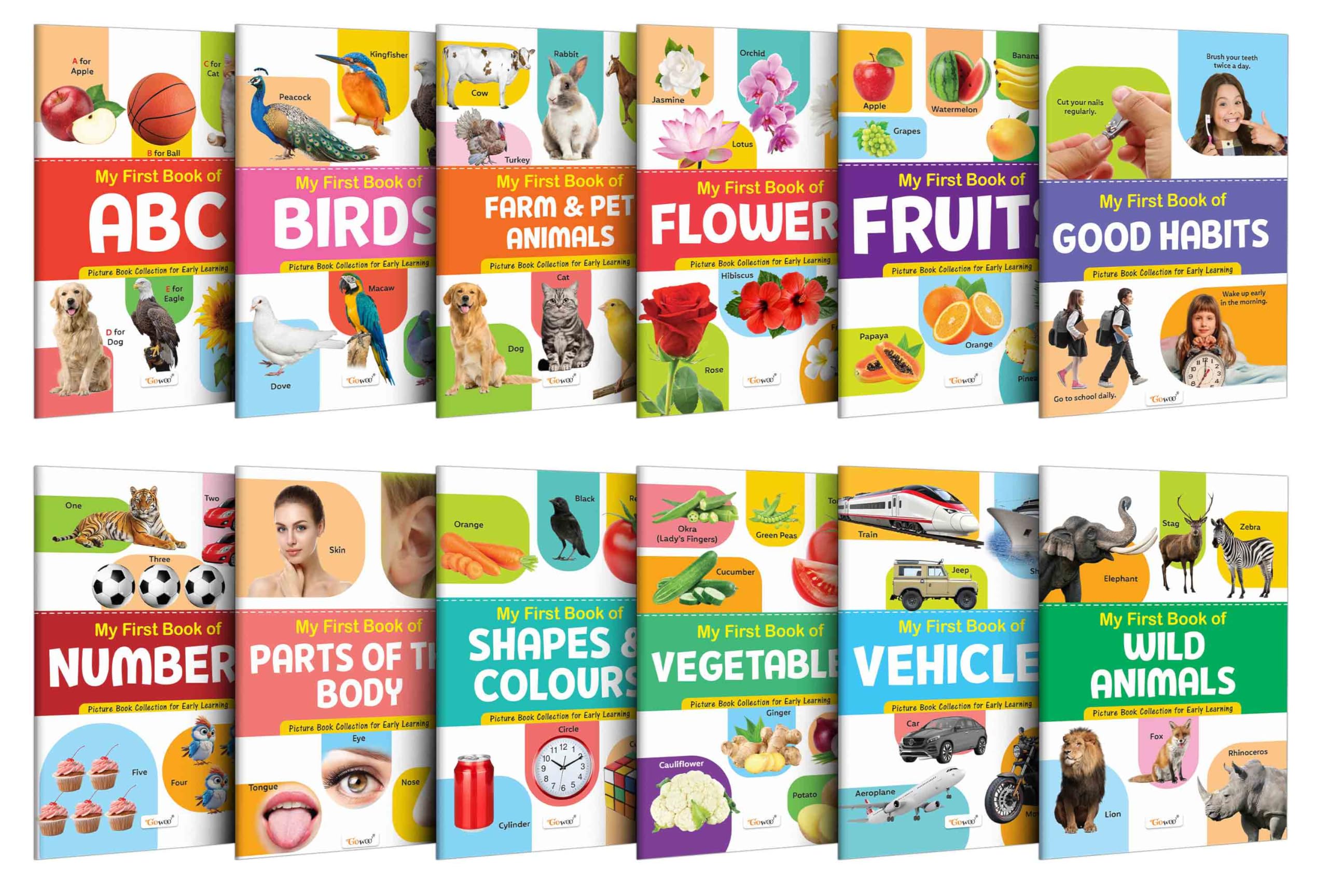 Toddlers learning library : Learning book for kids, My First Picture Book Collection For Early Learning With 12 Topics, birthday