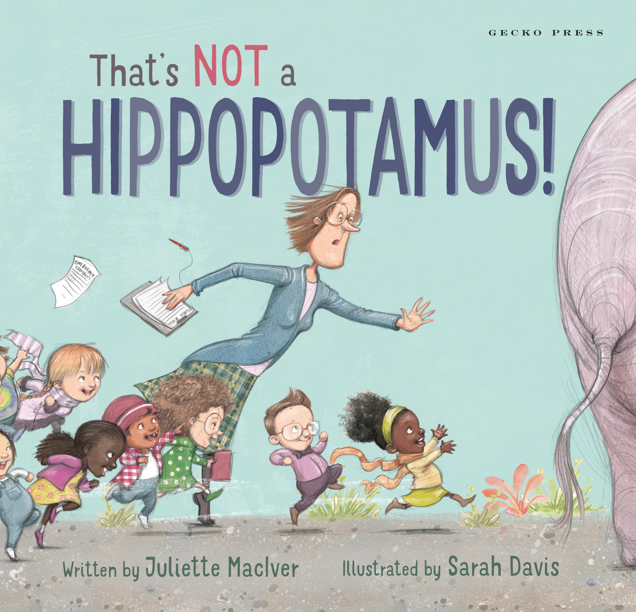 Thats Not a Hippopotamus!