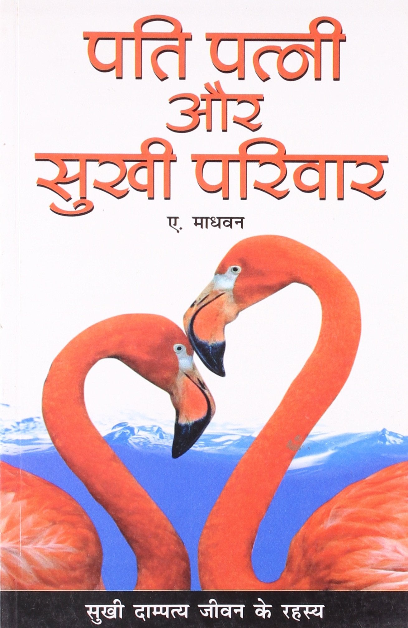 Pati Patni Aur Sukhi Pariwar Hindi(Pb)