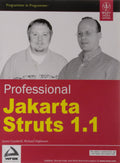 Professional Jakarta Struts 1.1