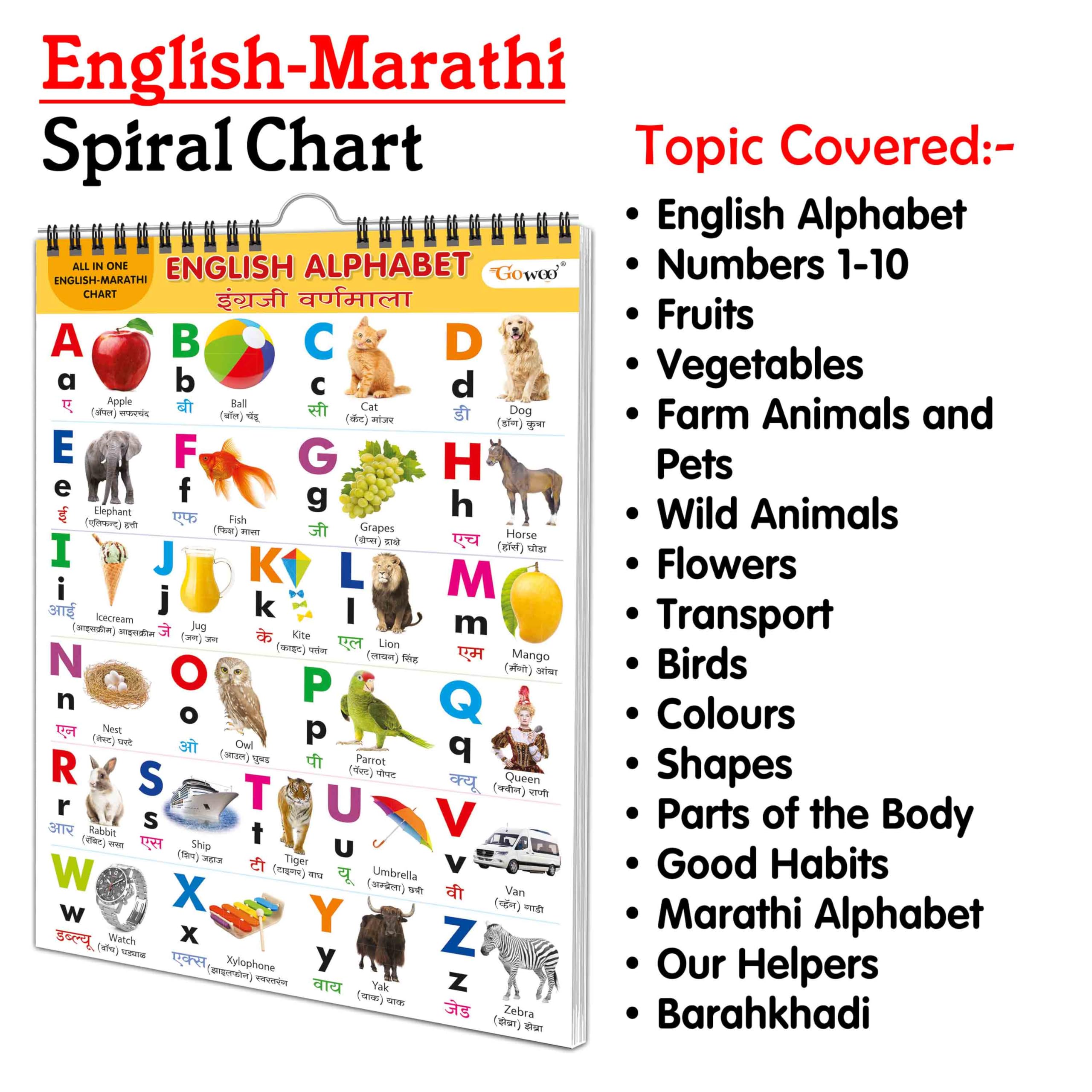 My First ALL IN ONE SPIRAL CHART ENGLISHMARATHI : Chart Book Of All In One, Early childhood learning Chart With 16 Topics, birt
