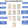 Educational EnglishHindi Posters for Kids : Pack of 10 Gloss Laminated Charts Covering Alphabet, Fruits, Vegetables, Animals, B