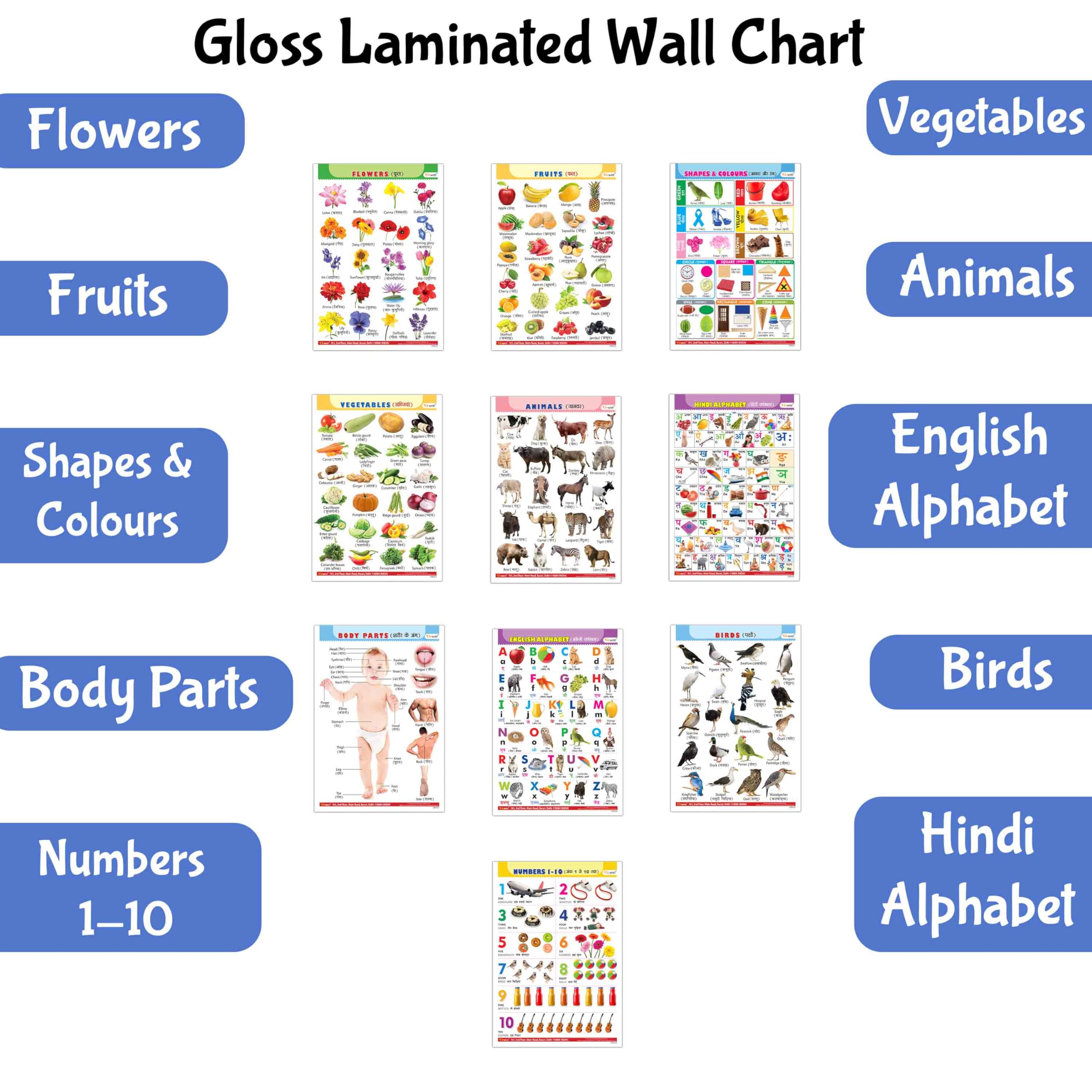 Educational EnglishHindi Posters for Kids : Pack of 10 Gloss Laminated Charts Covering Alphabet, Fruits, Vegetables, Animals, B