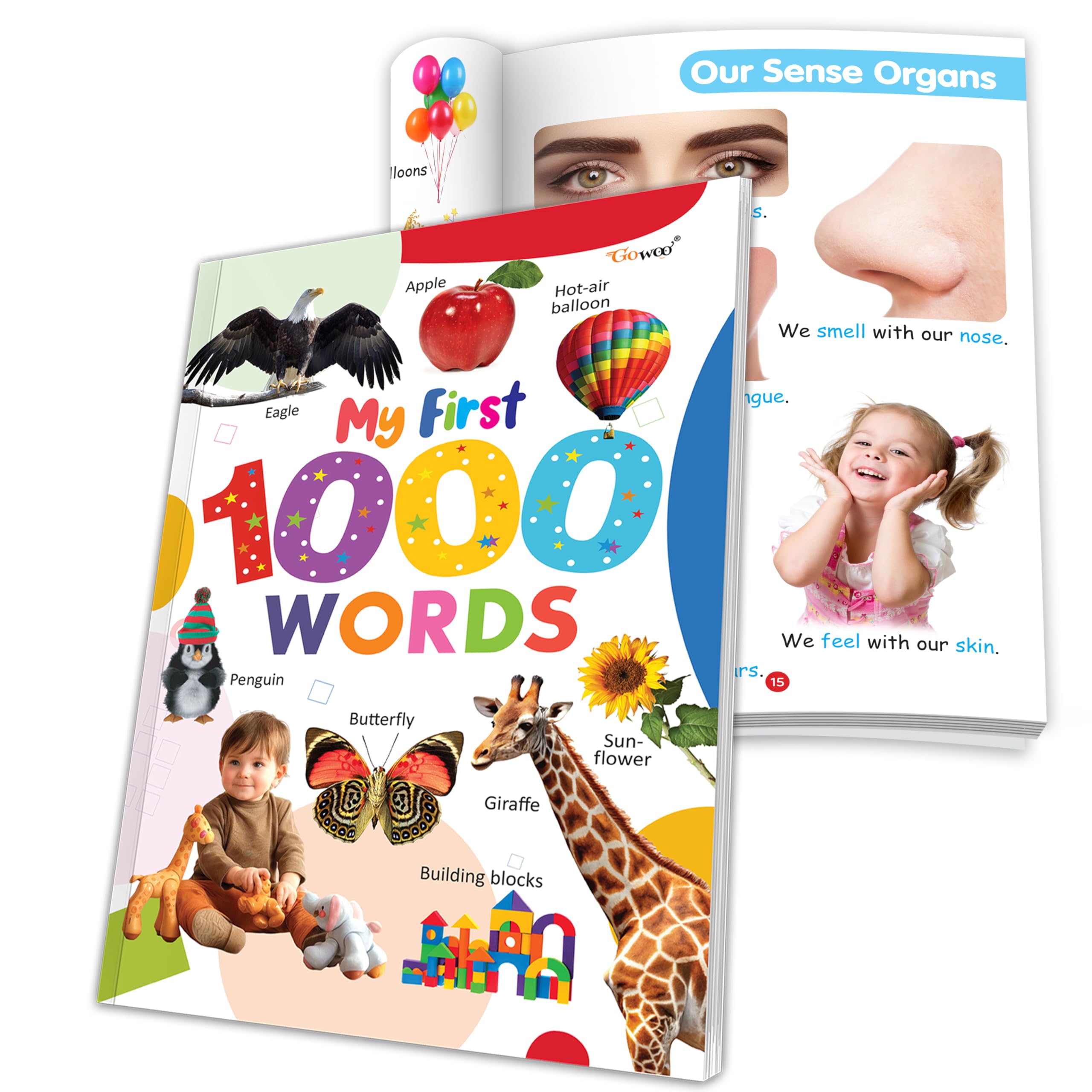 My First 1000 Words book : Kids Educational Book with Everyday Words, Picture Dictionary for Early Learners Age 3 to 12