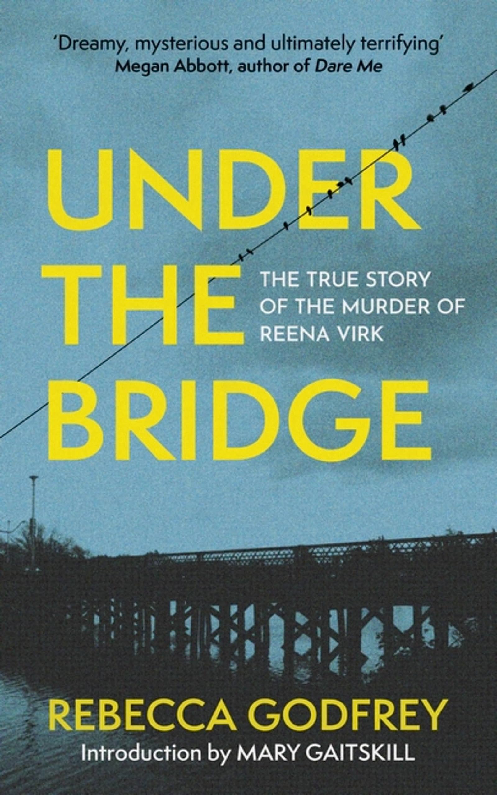 Under The Bridge: The True Story Of The Murder Of Reena Virk
