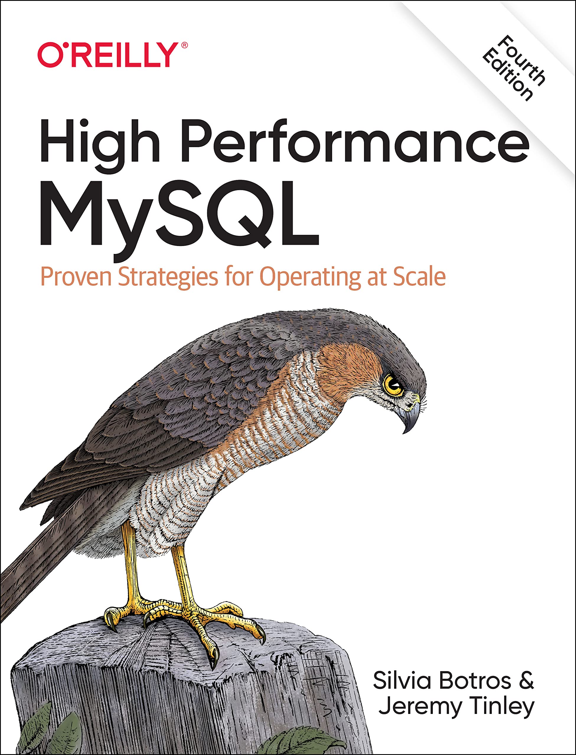 High Performance MySQL: Optimization, Backups, and Replication