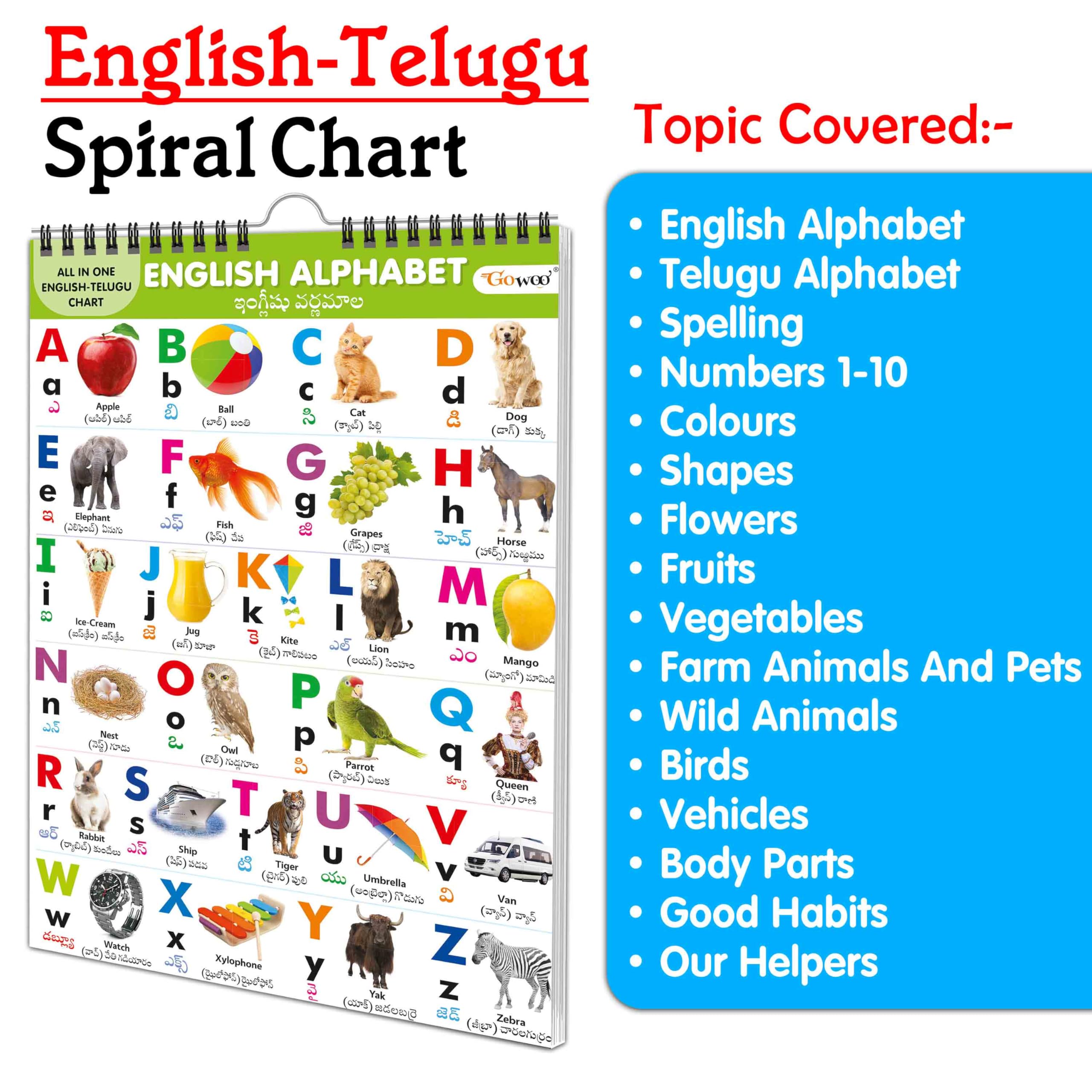 Ukg Class Picture ENGLISHTELUGU Chart With 16 Topics : English Alphabet, Telugu Alphabet, Spellings, Number 110, Colours, Shap