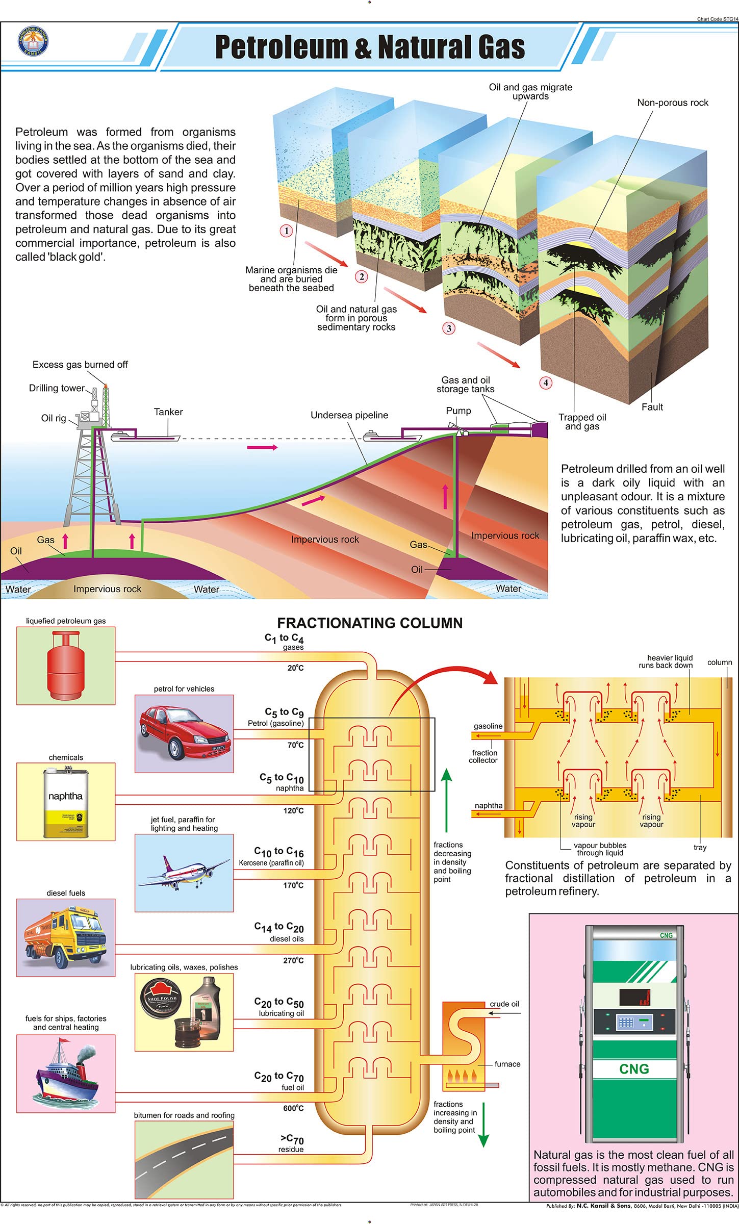 Stg14 | Teachingnest | Petroleum And Natural Gas Chart (58X90 Cm) | English | General Science Charts | With Rollers [Wall Chart]
