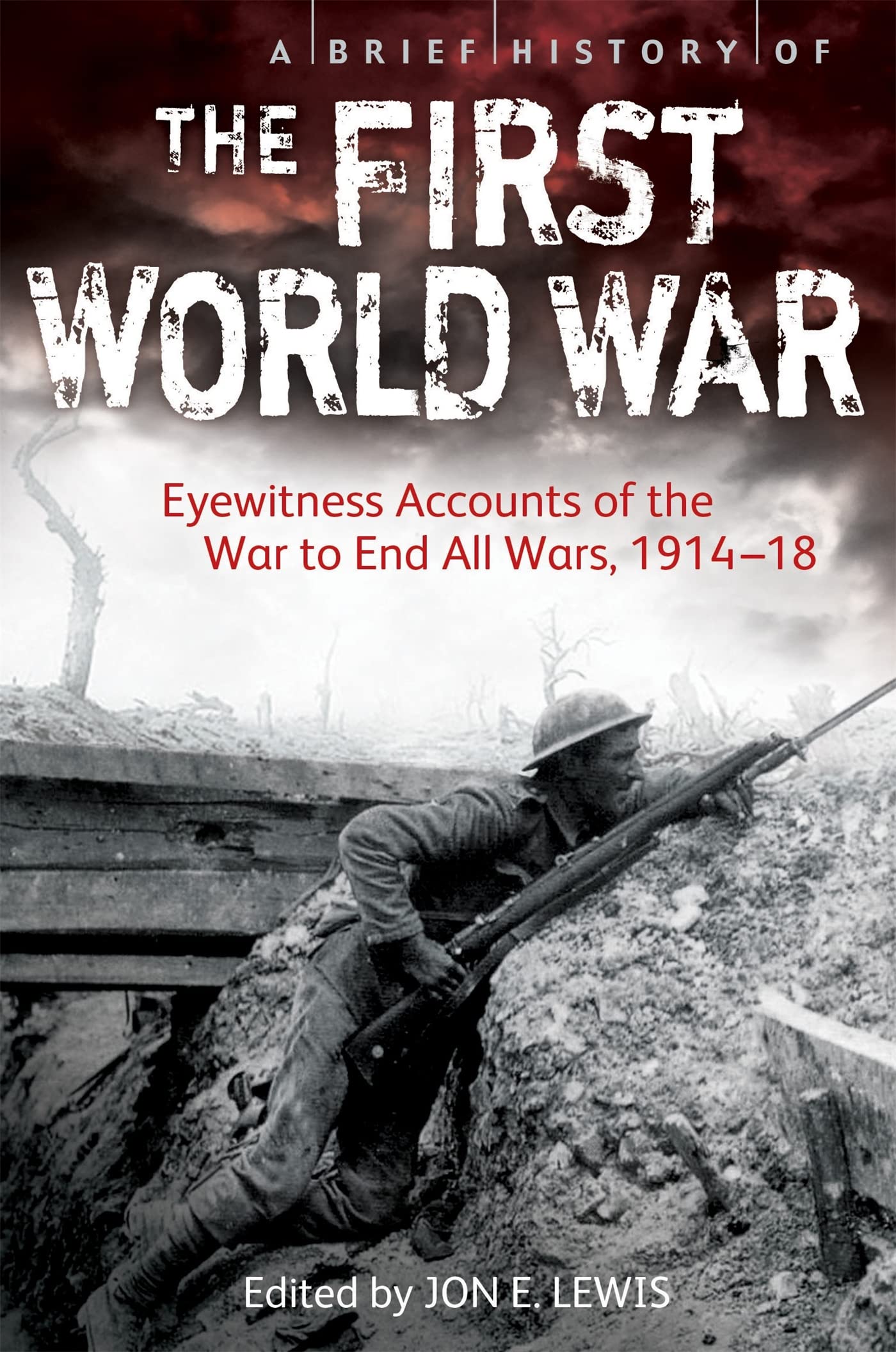 A BRIEF HISTORY OF THE FIRST WORLD WAR: EYEWITNESS ACCOUNTS OF THE WAR TO END ALL WARS, 191418
