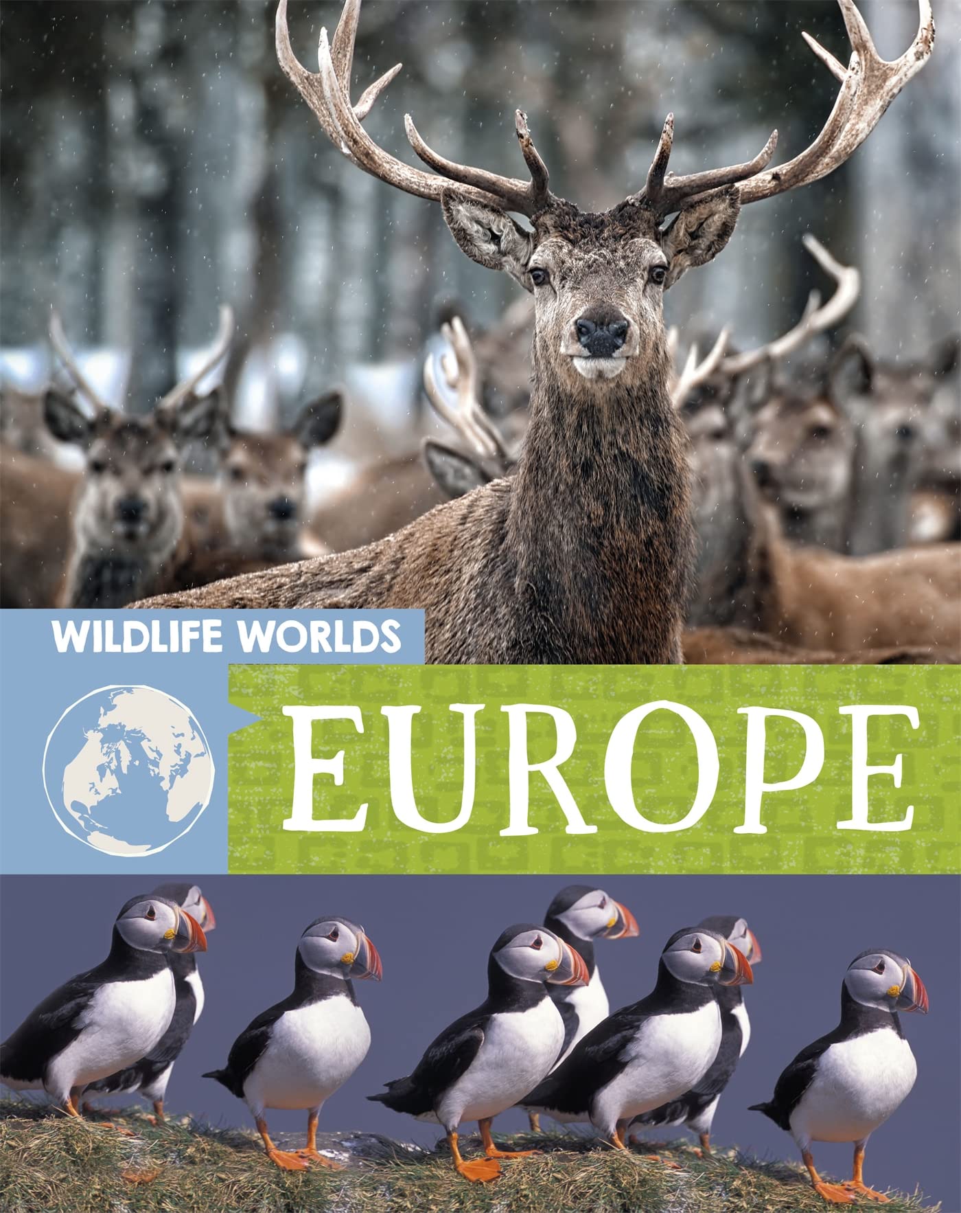 WILDLIFE WORLDS: EUROPE