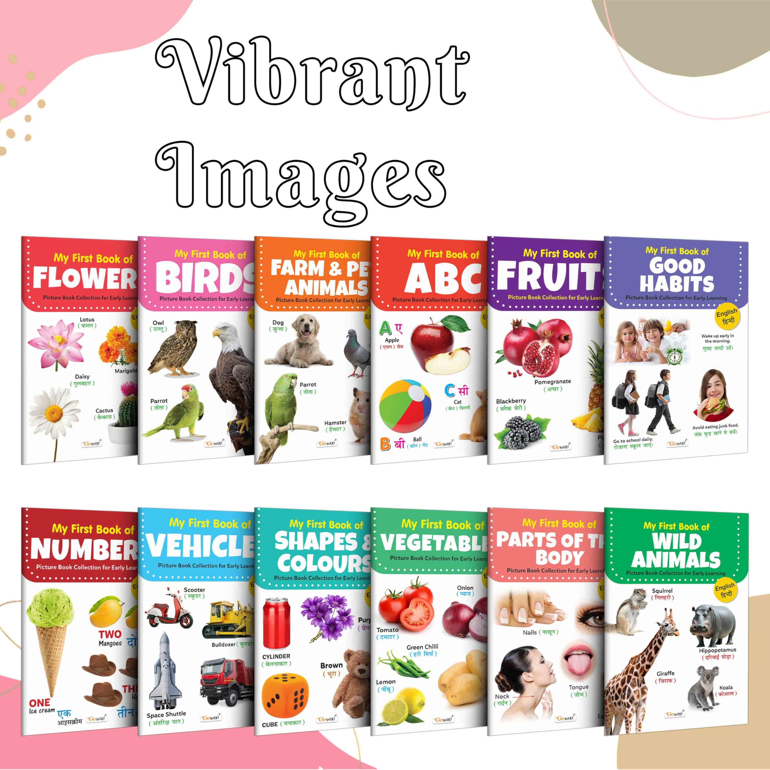 Lkg Class (EngHindi) Picture Book : Books For Children, All In One essential Book, Gift For Kids My First Picture Book Collecti