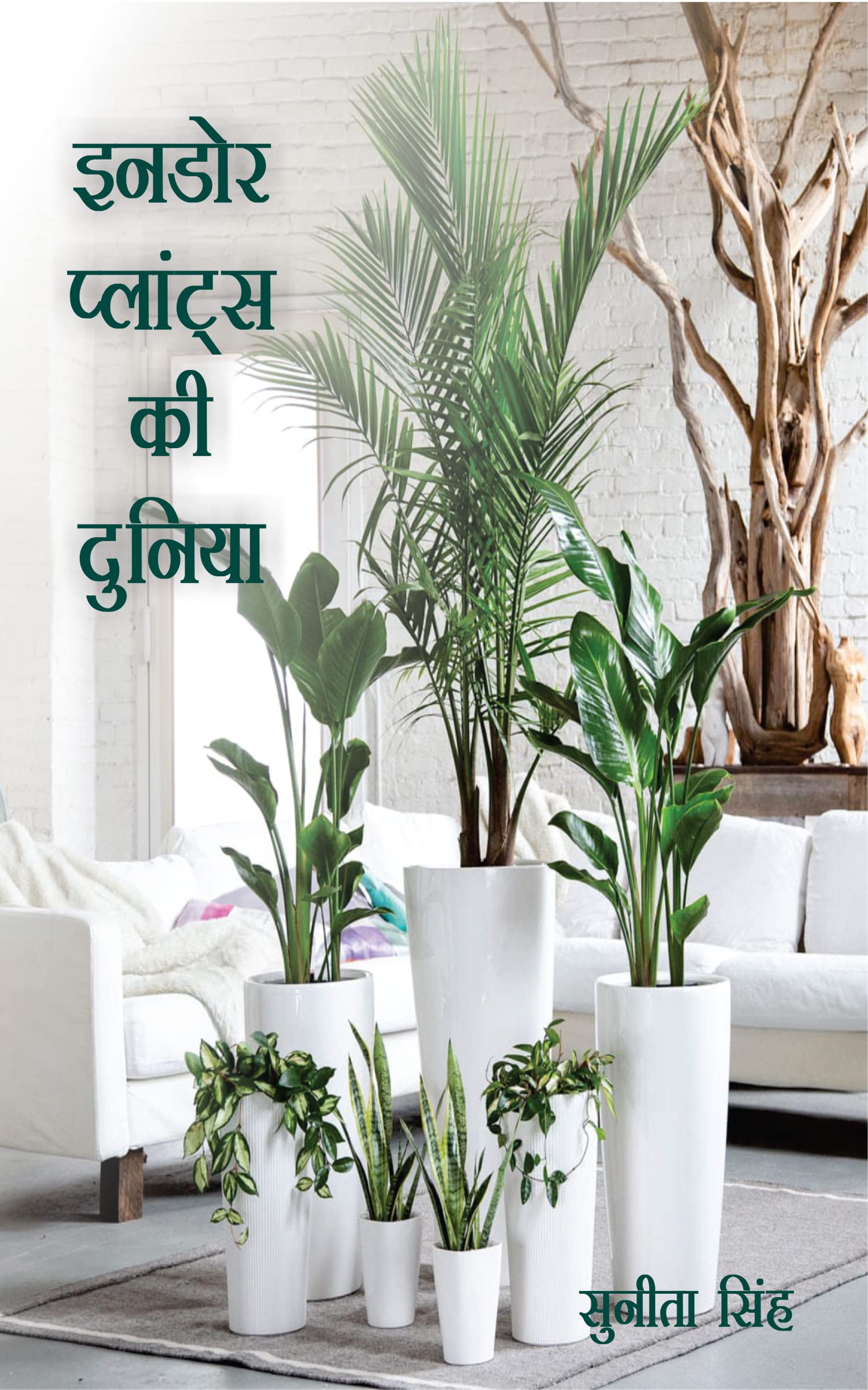 Indoor plants ki duniya