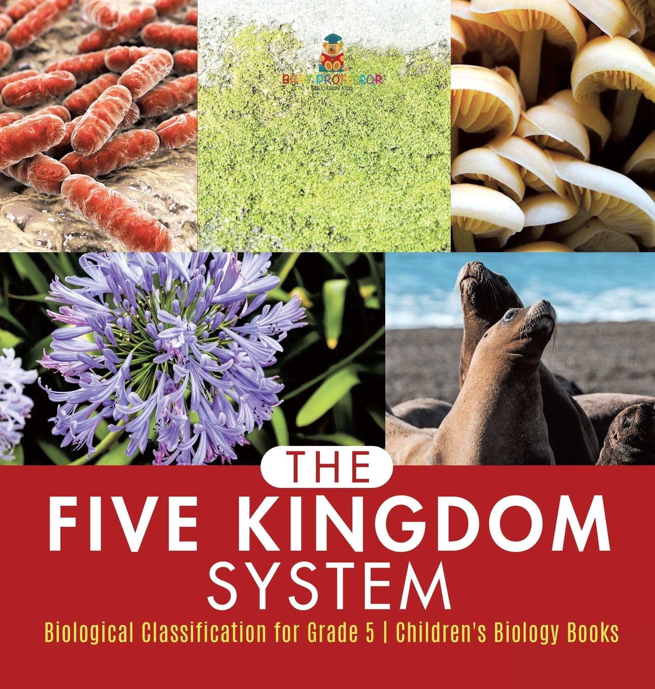 The Five Kingdom System Biological Classification For Grade 5 ChildrenS Biology Books