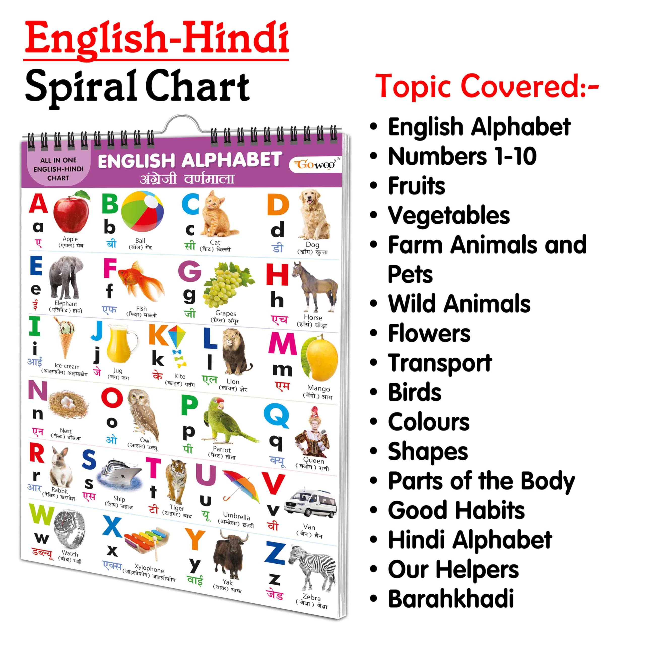 My First ALL IN ONE SPIRAL CHART (ENGLISHHINDI) : Chart Book Of All In One, Early childhood learning Chart With 16 Topics, birt