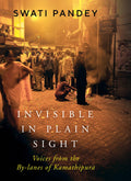 Invisible in Plain Sight : Voices From the ByLanes of Kamathipura