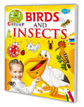 2 In 1 Copy To Colour Birds And Insects