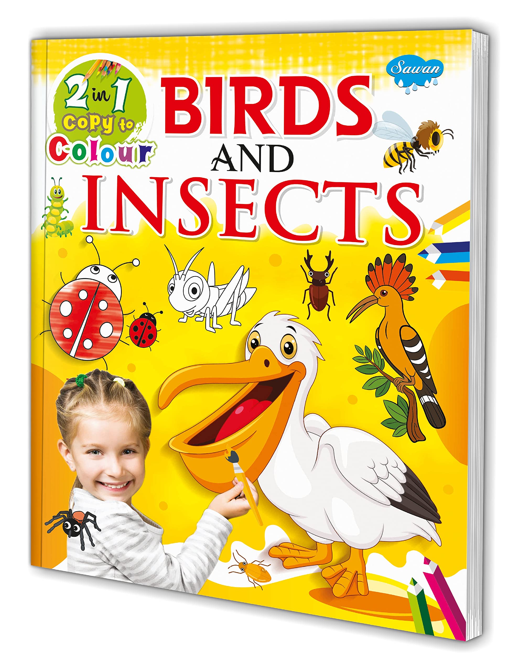 2 In 1 Copy To Colour Birds And Insects