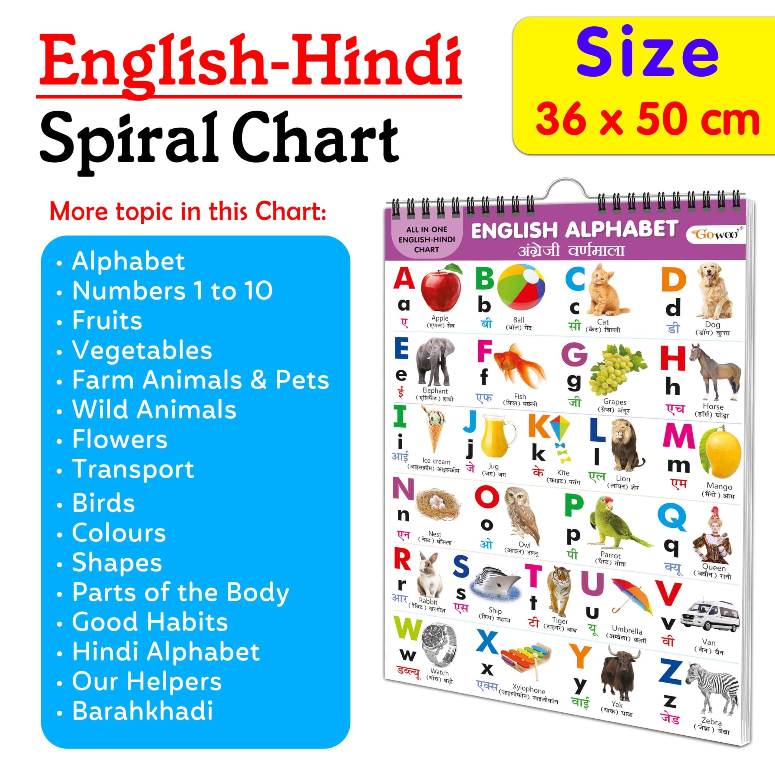 My First ALL IN ONE SPIRAL CHART ENGLISHHINDI : Kids first little library, Chart for kids, Early learning Chart, Picture Chart 