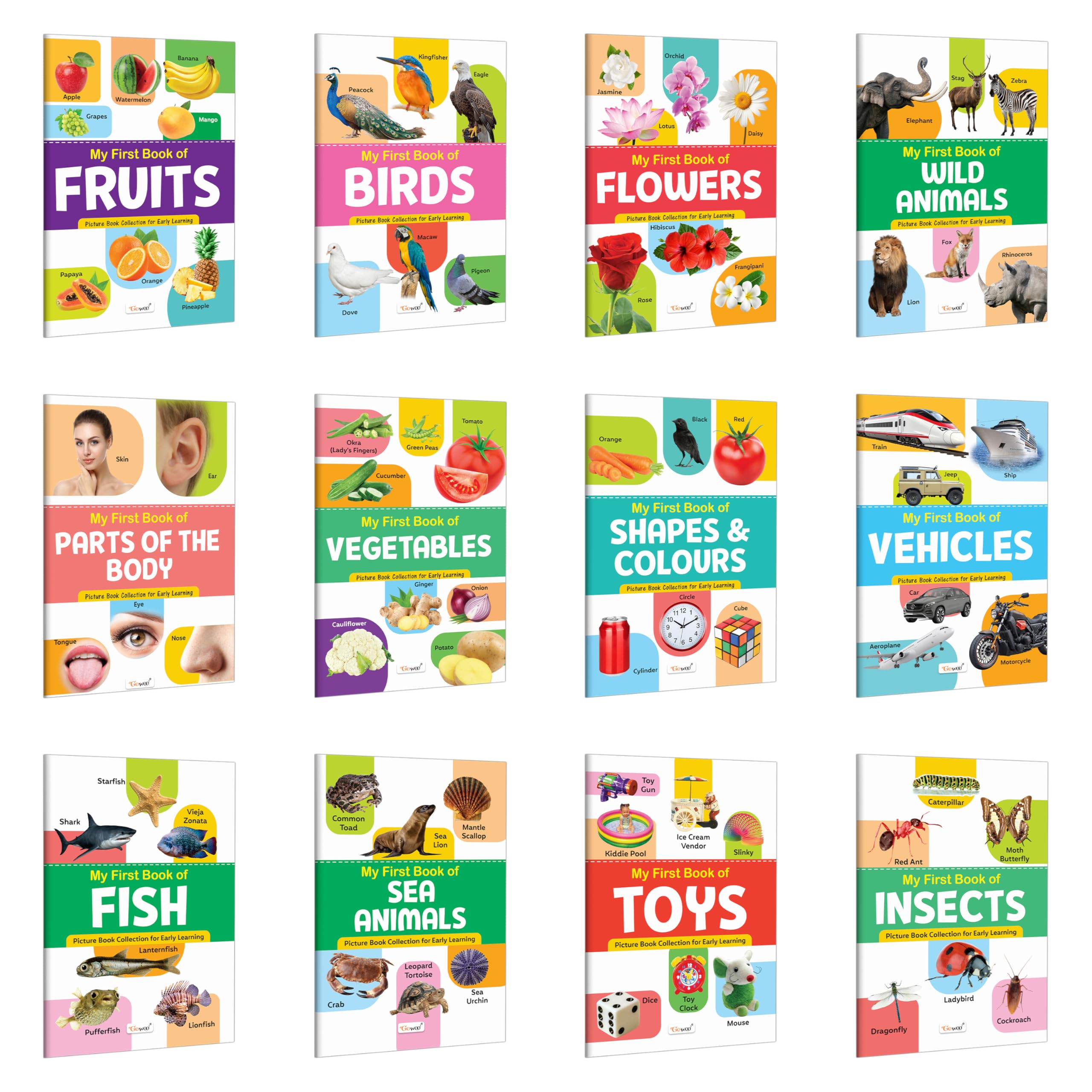 My First Book of Fruits, Birds, Flowers, Wild Animals and more : educational book for children, interactive books for toddlers,