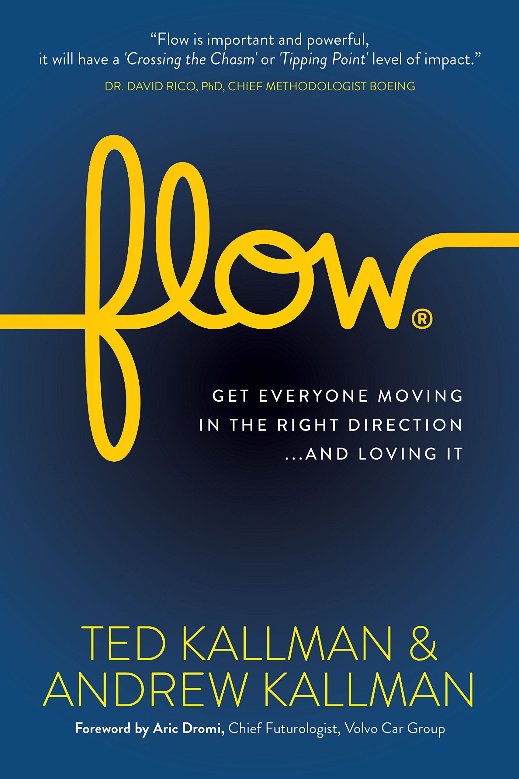 Flow: Get Everyone Moving in the Right Direction...and Loving It