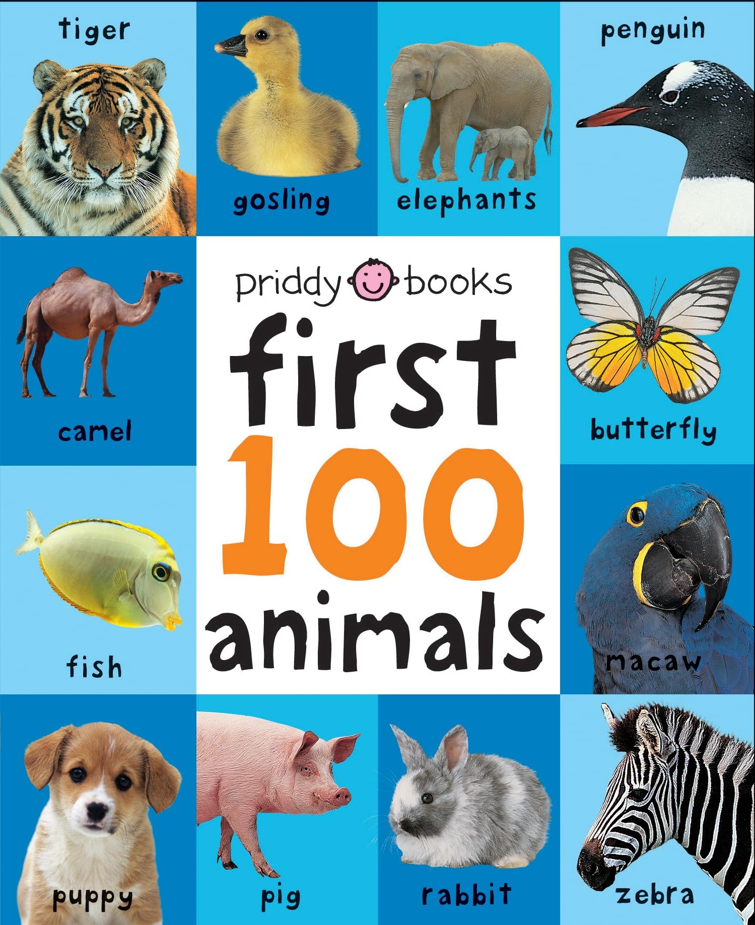 First 100 Animals: A padded bookperfect for little hands to hold