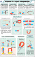 Stp25 | Teachingnest | Properties Of A Magnet, Making A Magnet Chart (58X90 Cm) | English | Physics Charts | With Rollers [Wall 