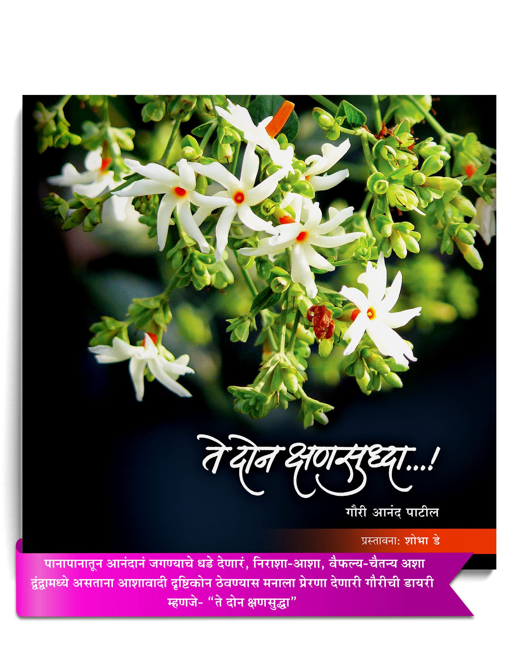 Te Donn Kshansudha (Diary Of An ExtraOrdinarily Brave Girl) [Paperback] Gauri Anand Patil