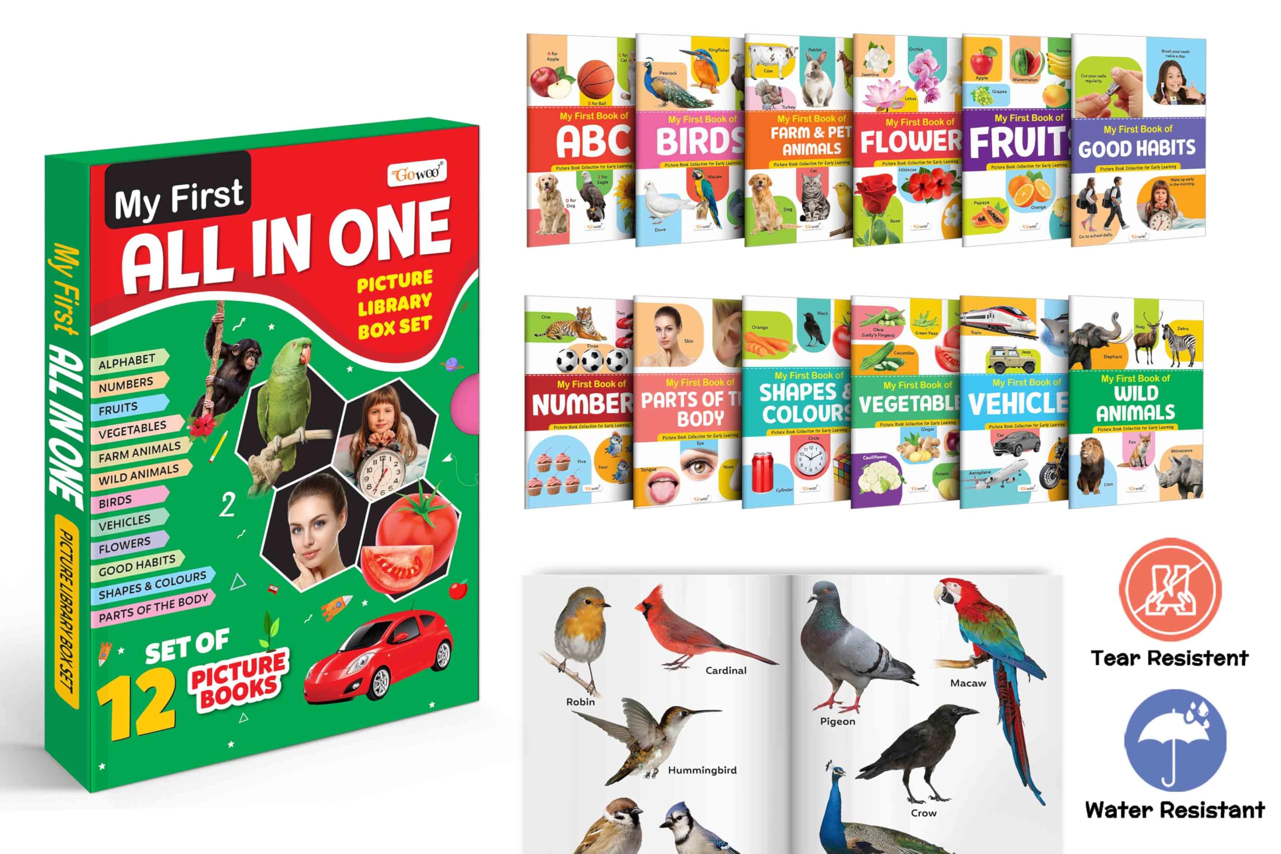 My First All in One Picture Library Box for Kids (Green Edition) : Collection of early learning books, Preschool Kids Book, 12 L