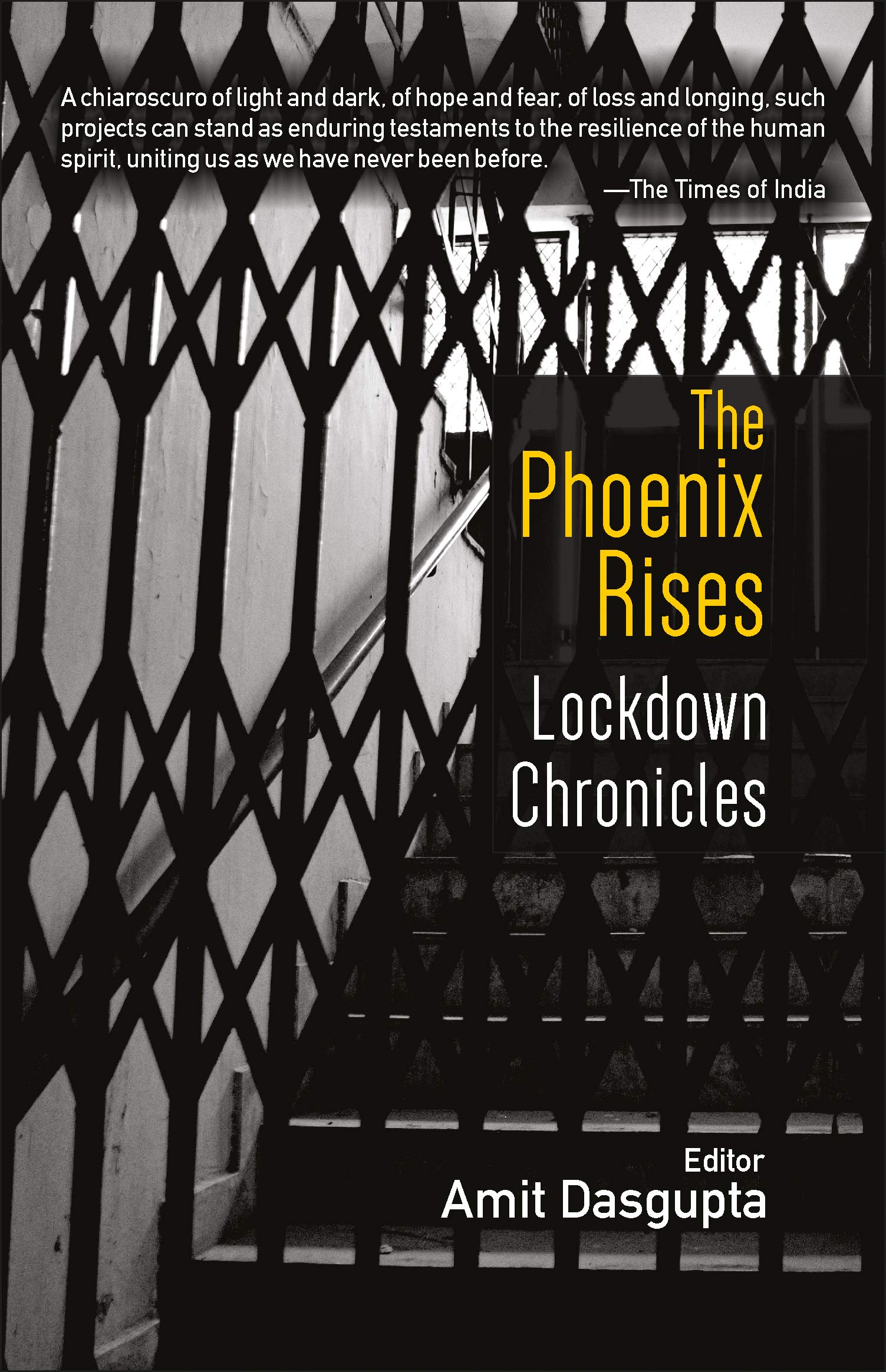 The Phoenix Rises: Lockdown Chronicles (Paper