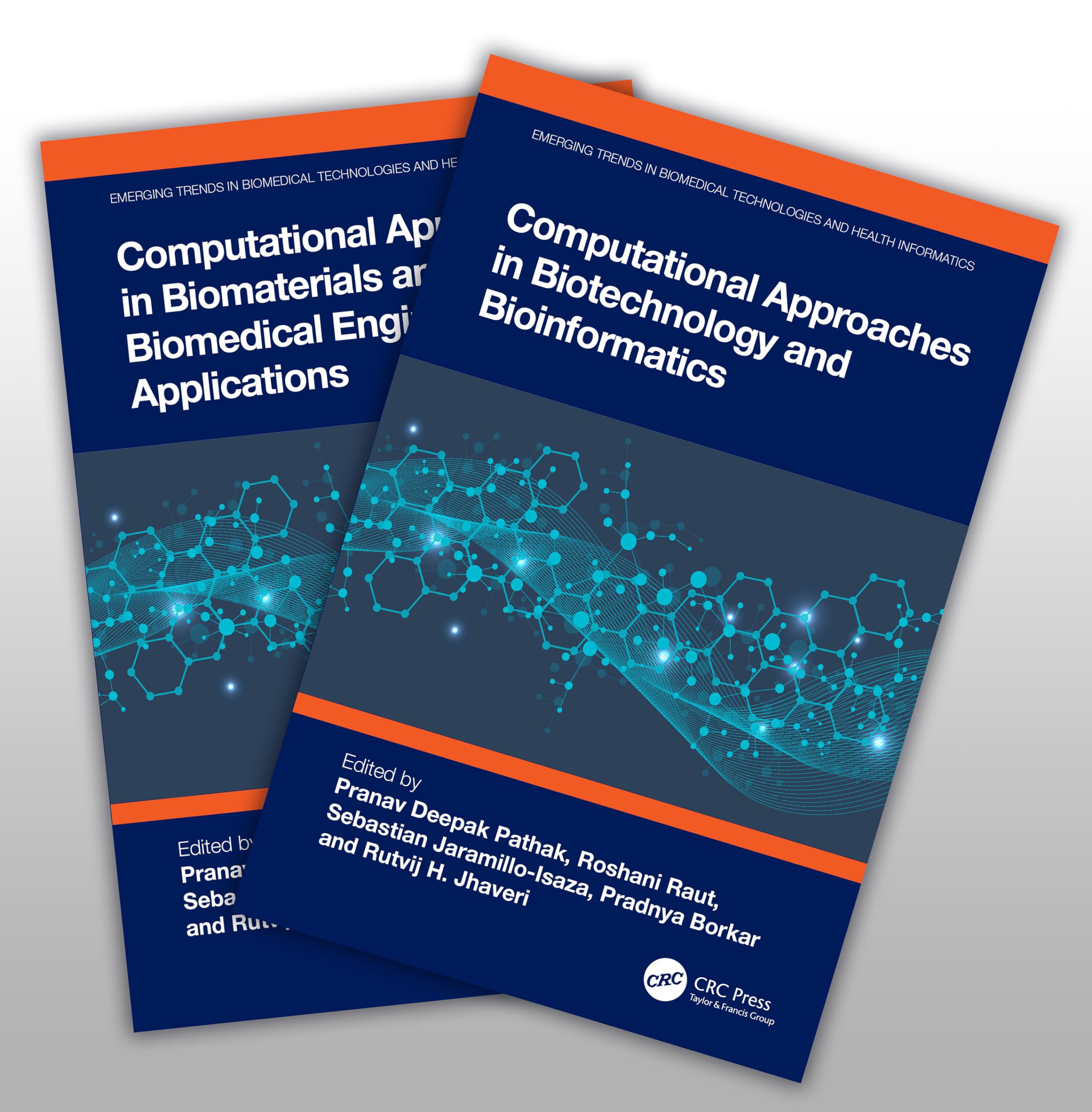 Computational Approaches in Bioengineering (Emerging Trends in Biomedical Technologies and Health informatics)