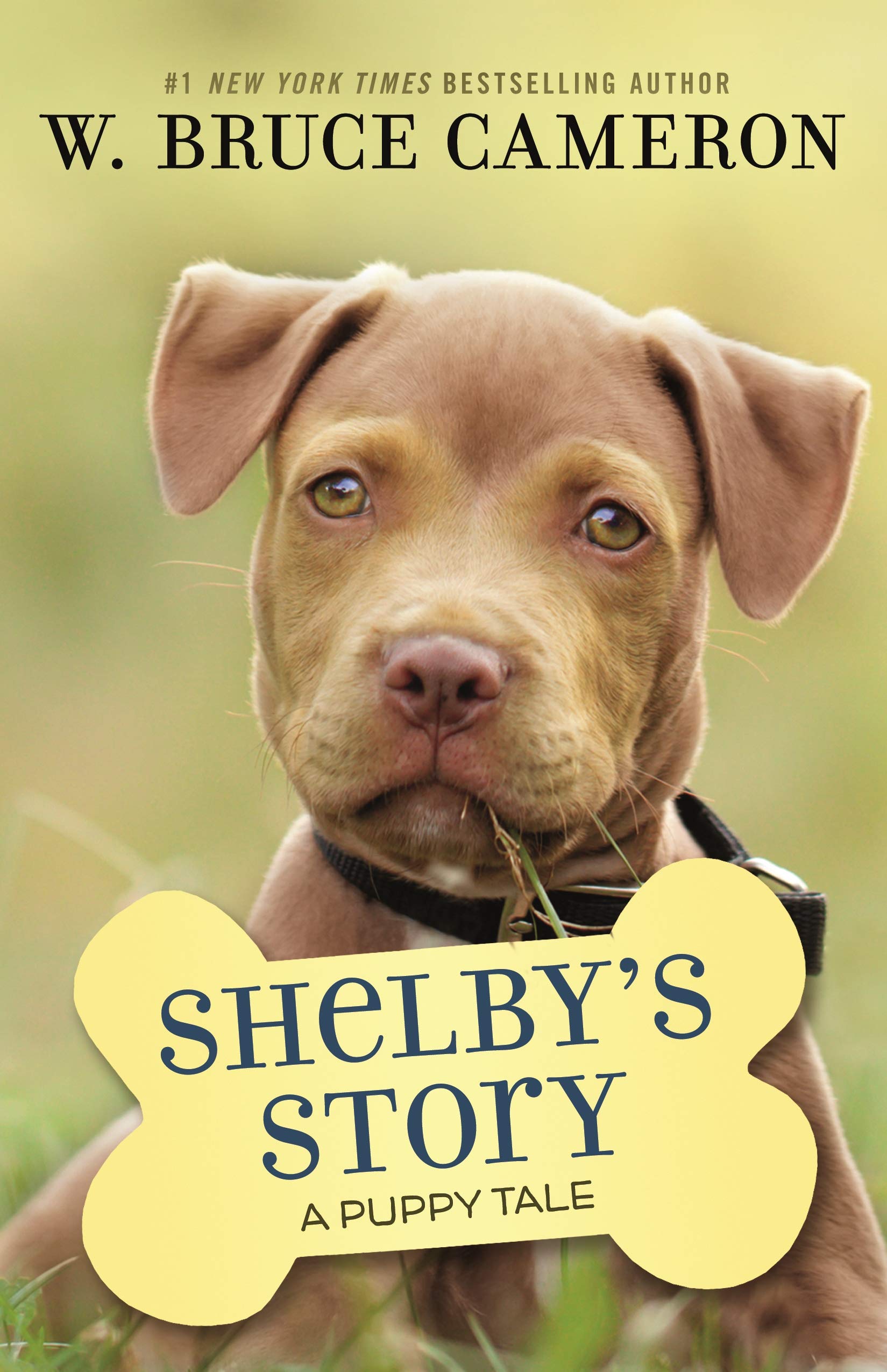 Shelbys Story: A Puppy Tale