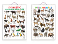 Early Learning Experience Through Charts | Educational Combo Of 2 Charts (V3) [Hardcover] Sawan