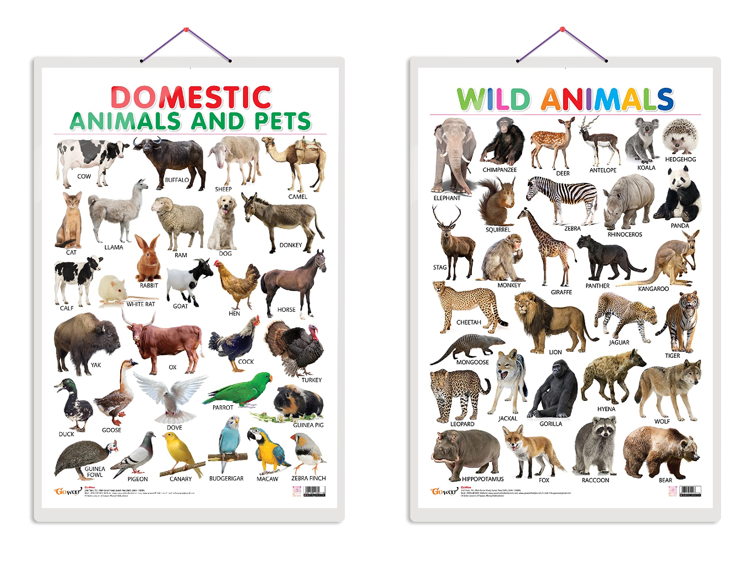 Early Learning Experience Through Charts | Educational Combo Of 2 Charts (V3) [Hardcover] Sawan