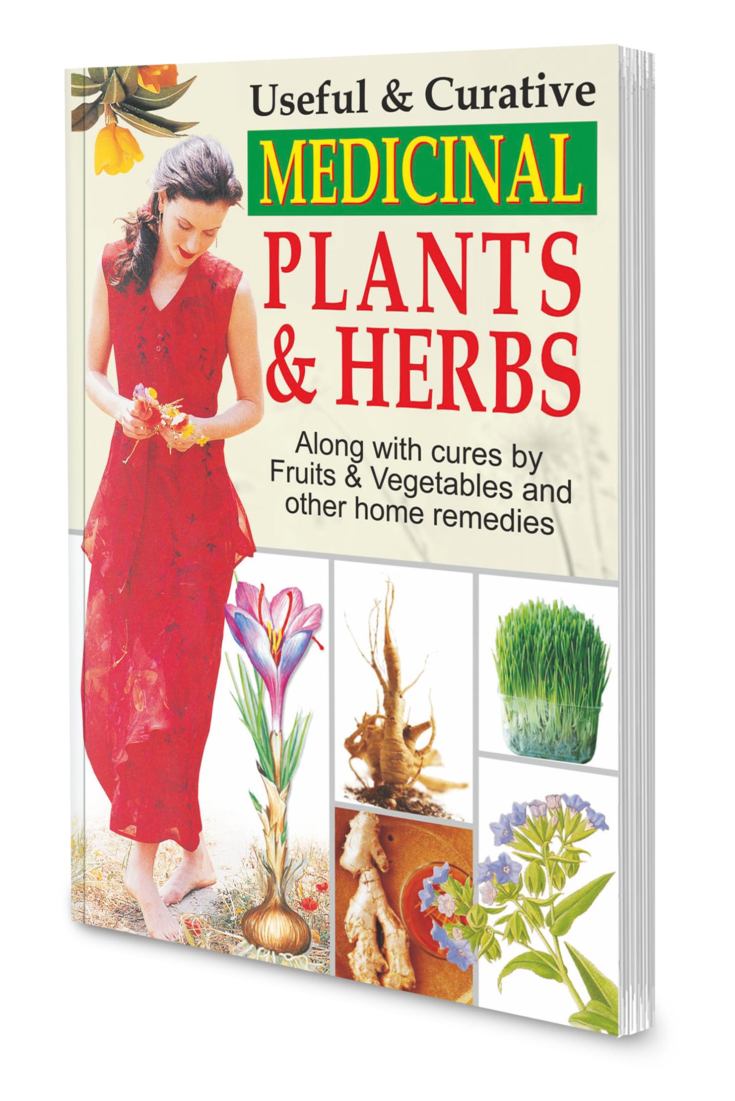 Medicinal Plants & Herbs By Sawan