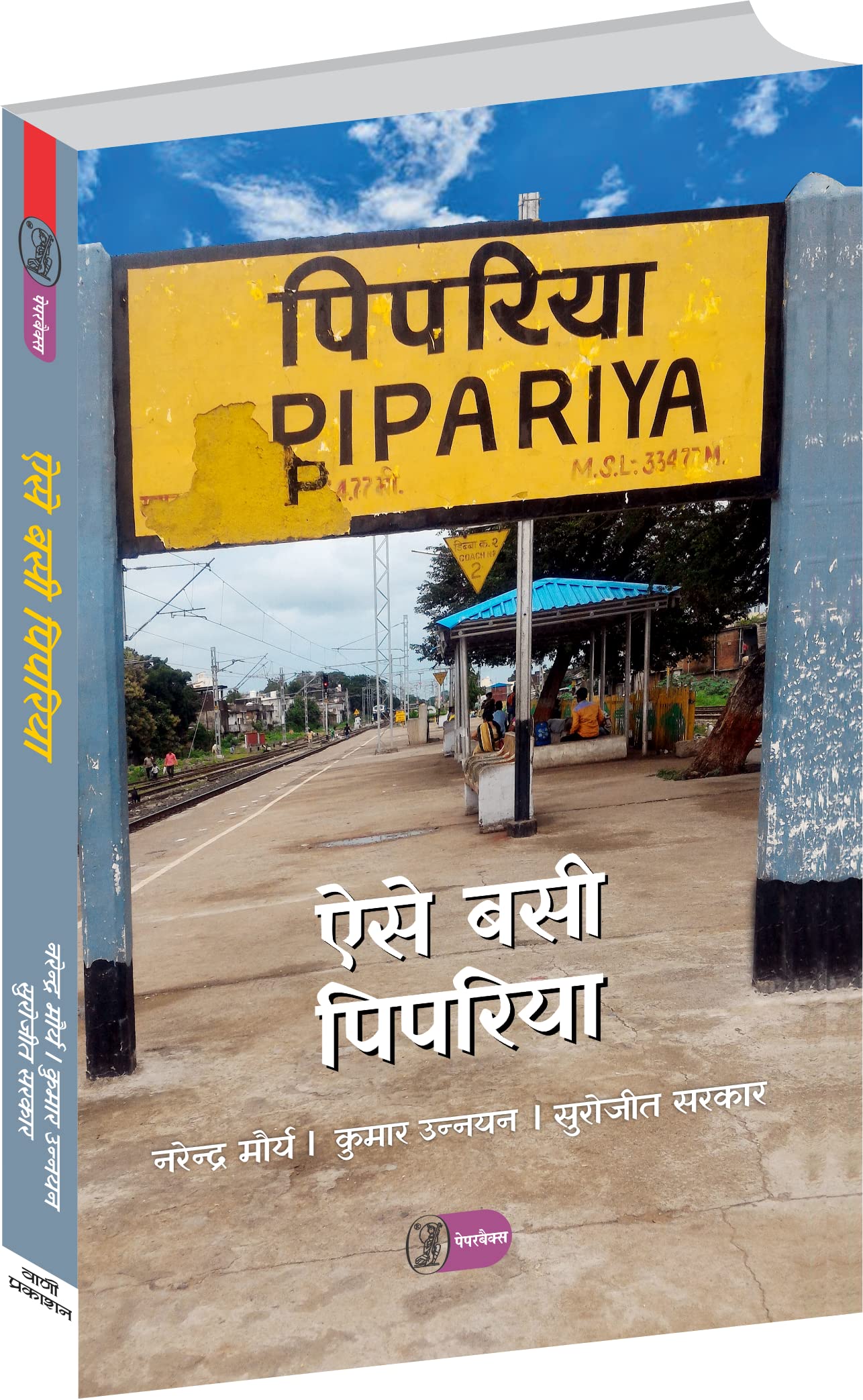 Aise Basi Pipariya [Paperback] Narendra Maurya, Kumar Unnayan, Surajit Sarkar