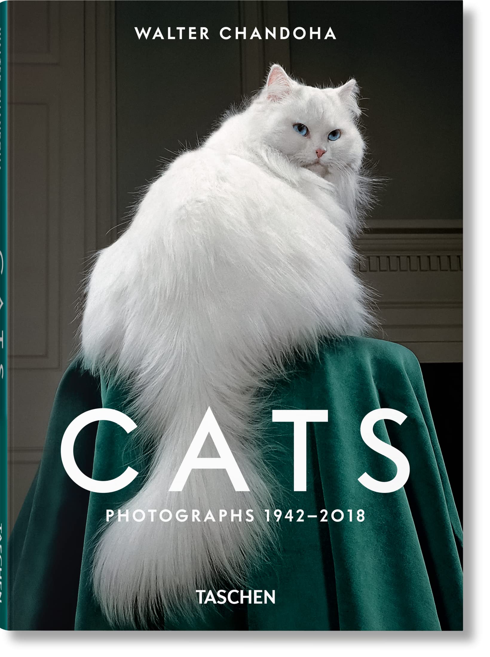 Cats: Photographs 19422018