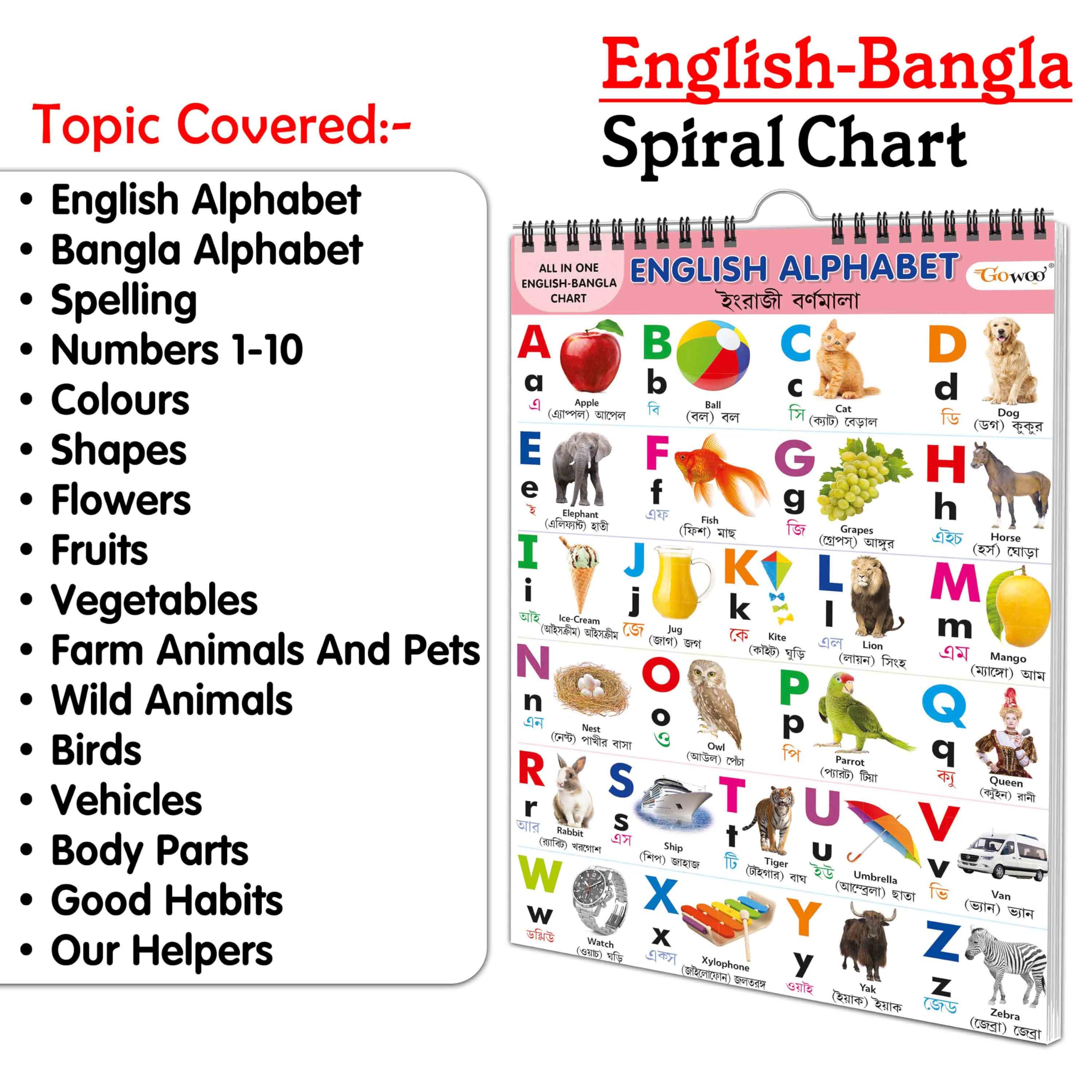 My First ALL IN ONE SPIRAL CHART ENGLISHBANGLA : With 16 Topics : (Big Fonts and Realistic Pictures) kids Chart