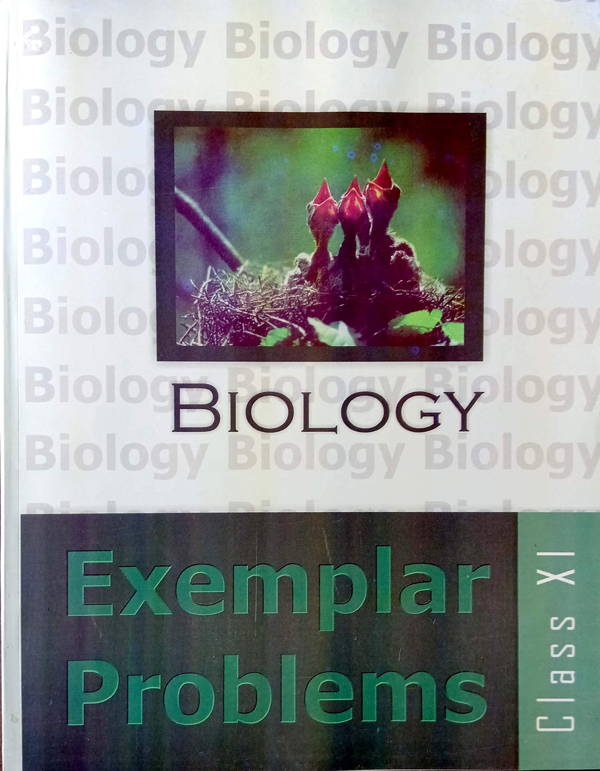 Ncert Exampler Class 11 Biology For Cbse And Neet 2020
