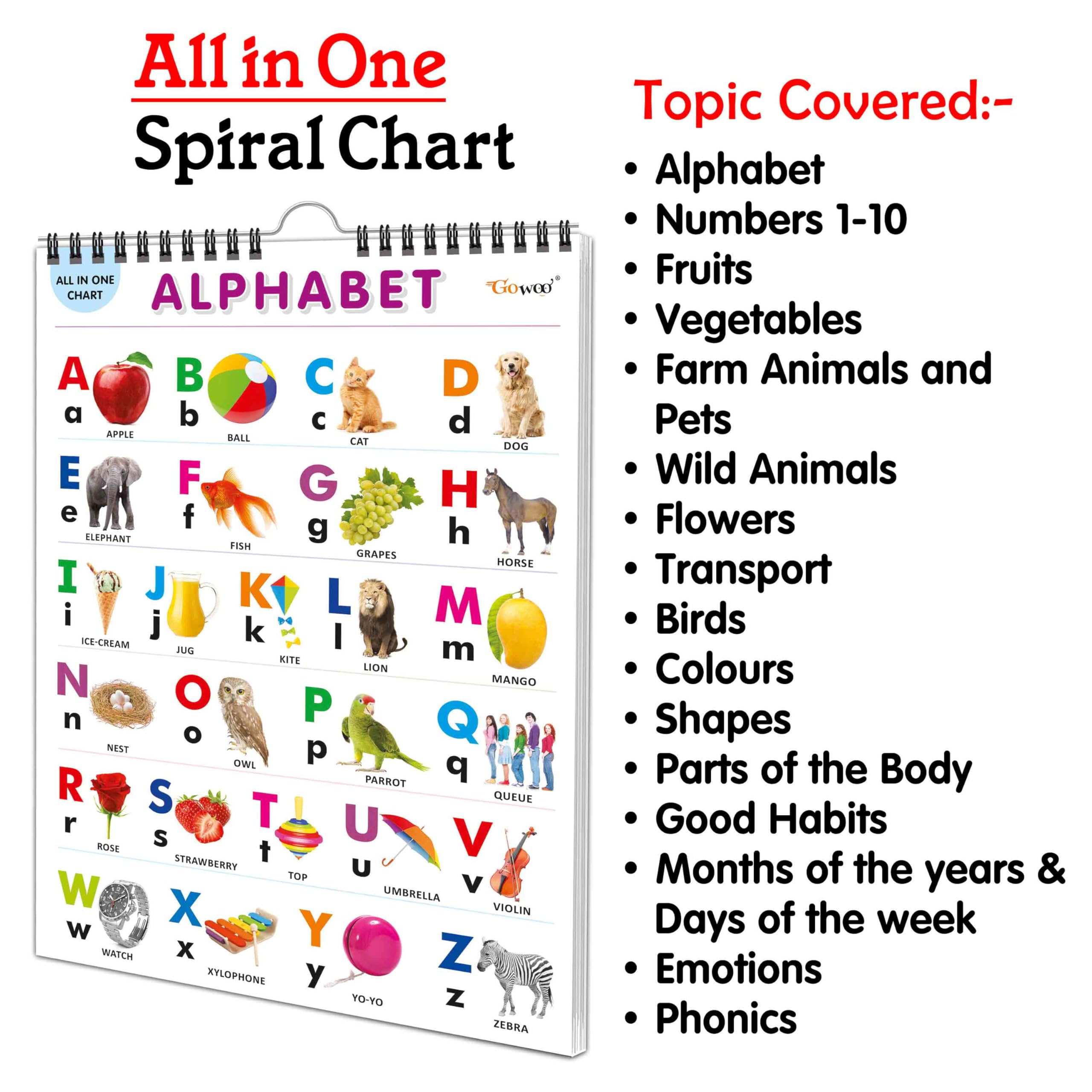 My First ALL IN ONE SPIRAL CHART : Chart Book Of All In One, Early childhood learning Chart With 16 Topics, birthday gifts for C
